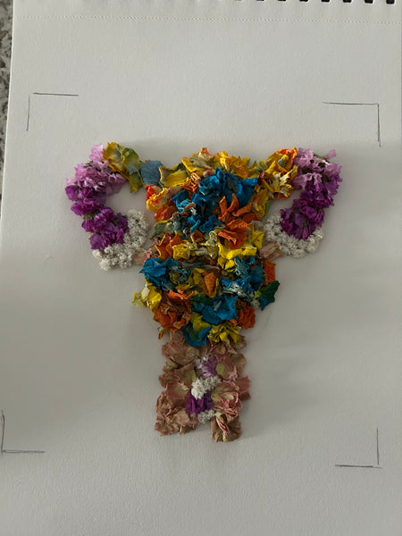 dried floral uterus